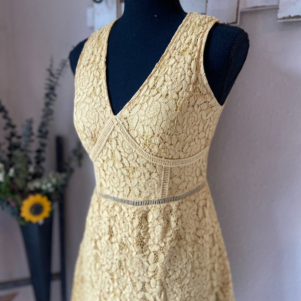 Altar'd State Yellow Lace Floral Sleeveless A-LIne Dress S